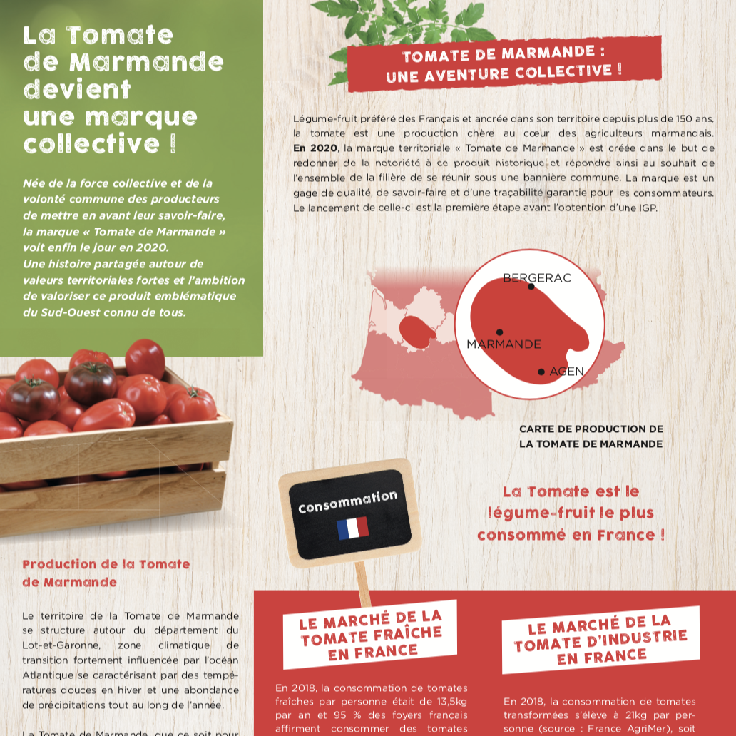 La tomate - La Presse+